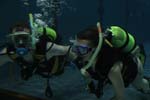 Bild 027
