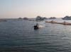 Bild 008