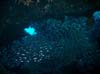 Bild 022
