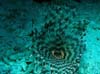 Bild 023