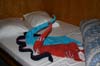 Bild 007