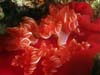 Bild 008