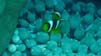 Bild 011