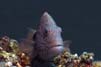 Bild 022