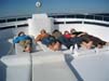 Bild 007