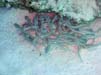 Bild 033