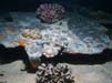 Bild 036