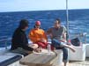 Bild 039