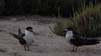 Bild 076