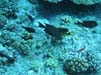 Bild 112