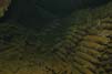 Bild 014