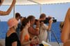 Bild 017