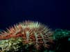 Bild 026