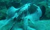 Bild 028