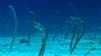 Bild 029