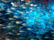 Bild 092