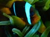 Bild 026