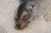 Bild 084