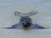 Bild 085