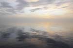 Bild 003