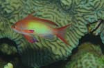 Bild 016