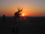 Bild 010