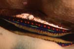 Bild 025