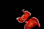 Bild 010