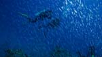 Bild 008