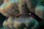 Bild 056