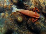 Bild 057
