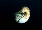Bild 007