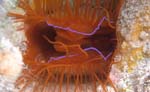 Bild 021