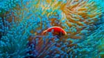 Bild 026