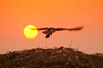 Bild 001