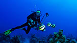 Bild 003