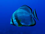Bild 005