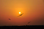 Bild 011