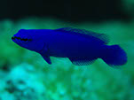 Bild 012