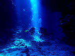Bild 013