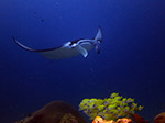 Bild 004