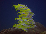 Bild 014