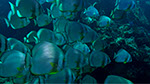 Bild 004