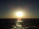 Bild 006