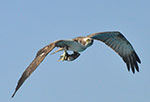 Bild 015