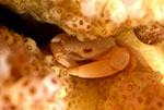 Bild 026