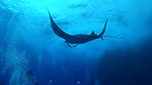 Bild 008