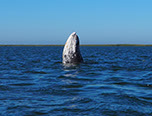 Bild 010