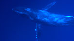 Bild 012