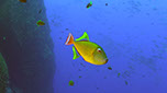 Bild 020